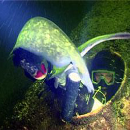 Несамоходная баржа