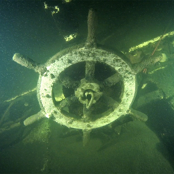 Большая Медведица